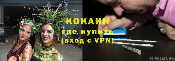 spice Вяземский
