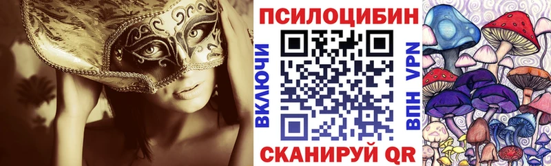 Галлюциногенные грибы Psilocybine cubensis  Магнитогорск 